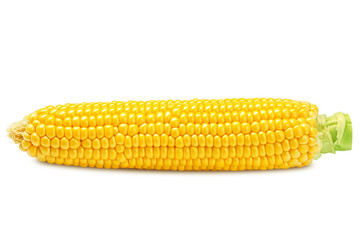 corn ear, isolated on white background, clipping path, full depth of field
