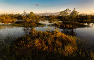 Fototapeta na wymiar Sunset illuminating the islands in a bog pond