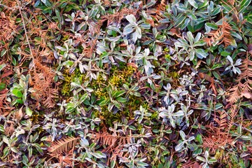 Herbstzeit