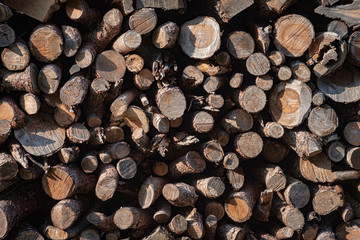 Pile of chopped firewood in swiss alps.
