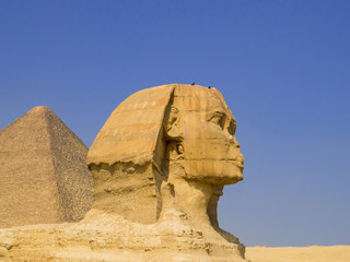View of the Great Sphinx and the Great Pyramid of Giza. In Cairo, Egypt