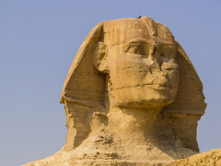 Fototapeta na wymiar View of the Great Sphinx of Giza. In Cairo, Egypt