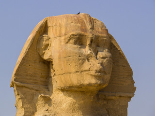 View of the Great Sphinx of Giza. In Cairo, Egypt