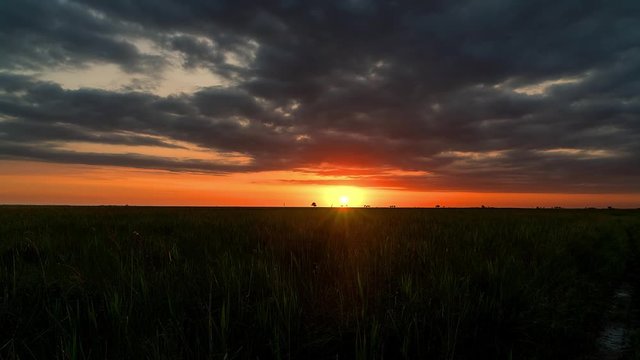 dawn in the steppe time lapse, sunrise in prairie, sunrise over field timelapse, morning sun over the field