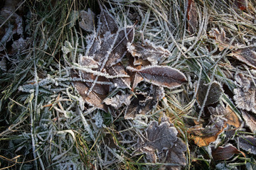 frost on the list