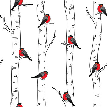 Seamless pattern with with bullfinches stinting on white birches. © Светлана Зиновьева