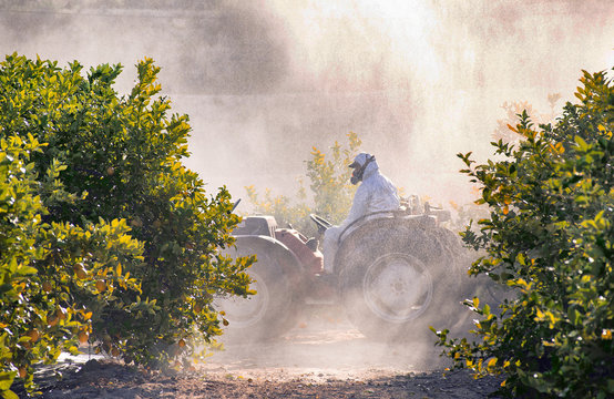 Tractor spraying pesticide and insecticide on lemon plantation in Spain. Weed insecticide fumigation. Organic ecological agriculture. A sprayer machine, trailed by tractor spray herbicide.