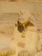 Sphinx statue, Mortuary Temple of Hatshepsut, Luxor, Egypt