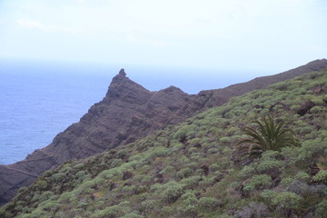 Fototapeta na wymiar Île de la Gomera (Les Canaries)