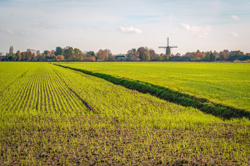 Queen Wilhelmina windmill on the outskirts of the Dutch village of Dongen