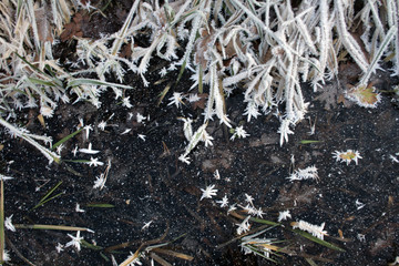 frost on the list © Artur