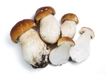 Mushrooms Boletus edulis (porcini) on the white background.