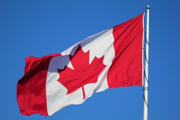 Naklejka na ściany i meble waving canadian flag