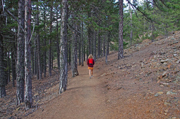 Treking © Patdrig Torc