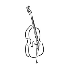 violin, double bass