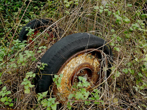 Il relitto di un vecchio rimorchio agricolo nel bosco.