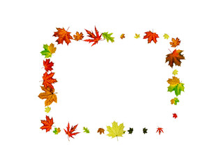 Autumn leaf background. November falling pattern. Thanksgiving season concept