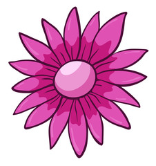 Single flower in pink