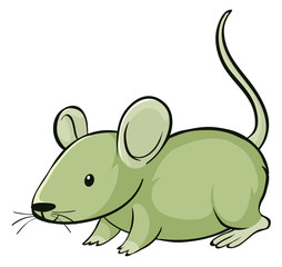Green mouse on white background