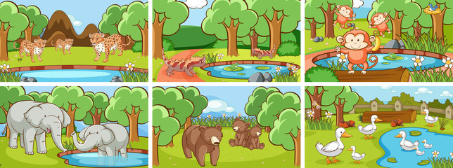 Obraz premium Background scenes of animals in the wild