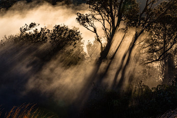 Steaming bluff overlook in Hawaii