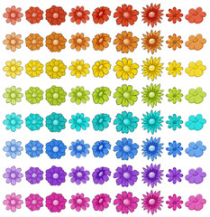 Isolated set of flowers