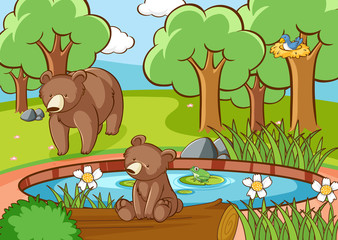 Scene with grizzly bears in forest