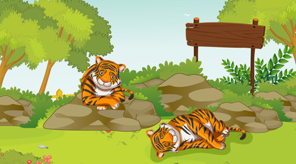Scene with two sad tigers in the park