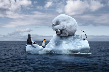 polar bear sits on a melting glacier
