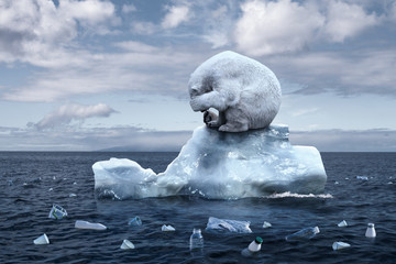 polar bear sits on a melting glacier
