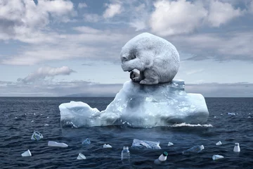 Fotobehang ijsbeer zit op een smeltende gletsjer © karmaknight