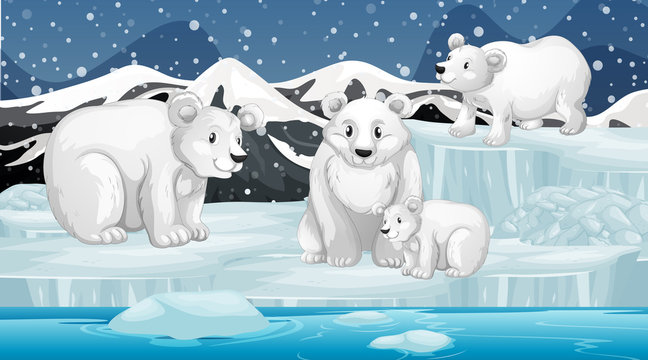 Scene with polar bears on ice