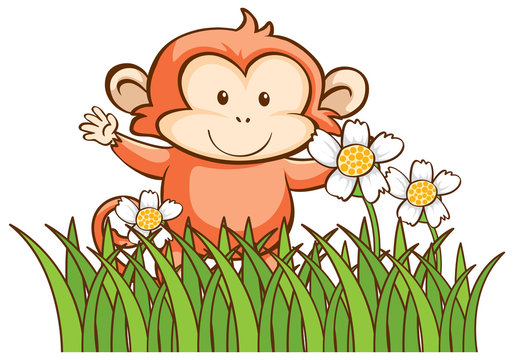 Isolated picture of cute monkey