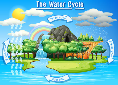 Water cycle process on Earth - Scientific