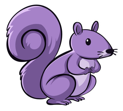 Purple squirrel on white background