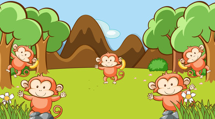 Obraz na płótnie Canvas Scene with monkeys in the park