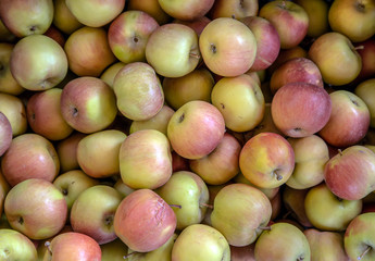 apple fruits background
