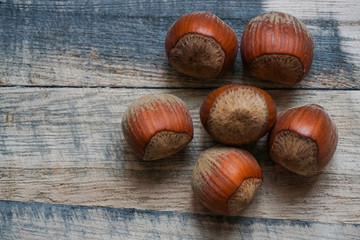 Fresh hazelnuts in their shell on a wooden background