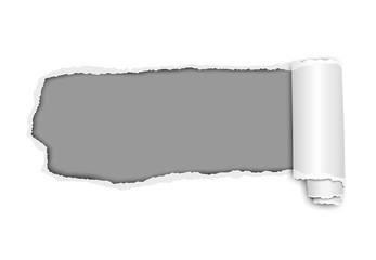 Elongated vector torn hole from left to right in white sheet of paper with soft shadow, paper curl and grey background in the hole. Paper template illustration.