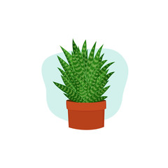 Vector aloe plant in a pot illustration.