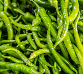 fresh green chili pepper at vegetable market