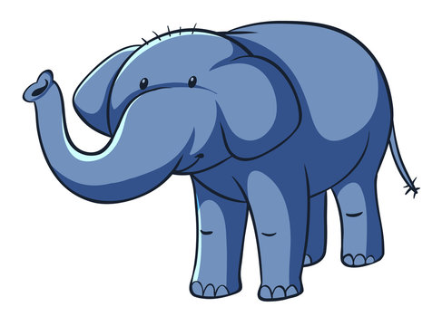 Isolated picture of blue elephant