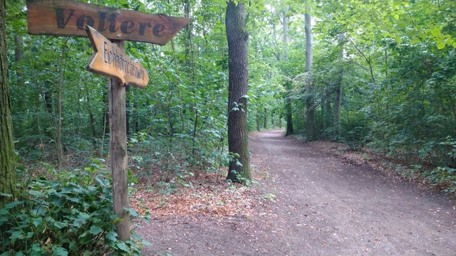 Wildtierpfad