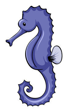 Blue seahorse on white background