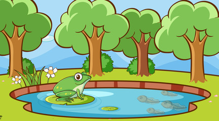 Scene with green frog in the pond