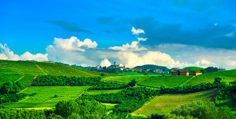 Langhe vineyards panorama, Castiglione Falletto, Piedmont, Italy Europe.
