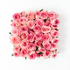 Pink rose flower buds and leaves on white background. Flat lay, top view creative square floral concept.