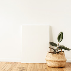 Home plant ficus in front of blank canvas. Mockup copy space watercolor art concept.