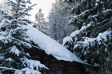 баня в снежном лесу