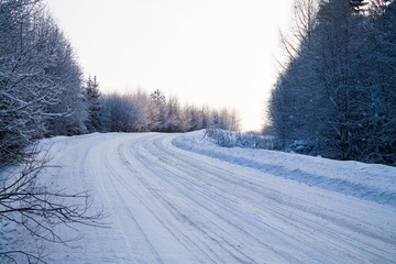 лесная зимняя дорога
